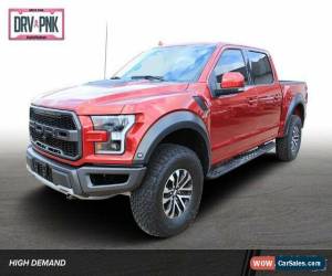 Classic 2019 Ford F-150 Raptor for Sale