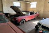 Classic 1966 Ford Mustang for Sale