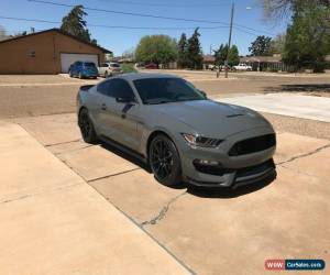 Classic 2018 Ford Mustang for Sale