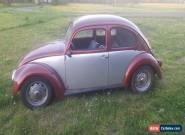 1964 Volkswagen Beetle - Classic for Sale