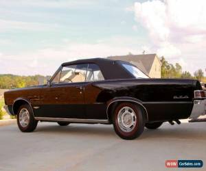 Classic 1965 Pontiac GTO Convertible for Sale