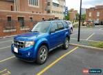 2011 Ford Escape for Sale