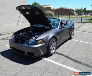 Classic 2003 Ford Mustang Cobra for Sale