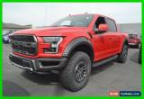 Classic 2019 Ford F-150 Raptor for Sale