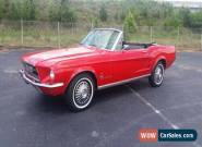 1967 Ford Mustang -- for Sale