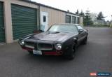 Classic 1976 Pontiac Firebird Trans Am for Sale