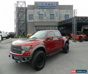 Classic 2014 Ford F-150 RAPTOR for Sale