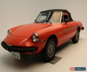 Classic 1979 Alfa Romeo Spider for Sale