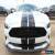 Classic 2019 Ford Mustang GT for Sale