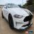 Classic 2019 Ford Mustang GT for Sale