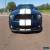 Classic 2007 Ford Mustang GT 500 for Sale