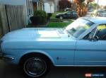 1966 Ford Mustang blue  white for Sale