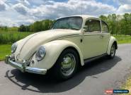 1966 Volkswagen Beetle - Classic Beetle for Sale