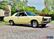 1966 Pontiac GTO for Sale