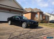 Ford: Mustang Pony Edition for Sale