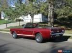 1966 Ford Mustang for Sale