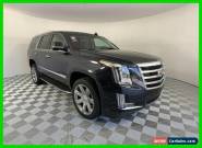 2019 Cadillac Escalade Luxury for Sale