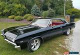 Classic 1967 Chevrolet Chevelle for Sale