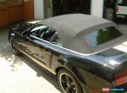 Ford: Mustang SHELBY HERTZ for Sale