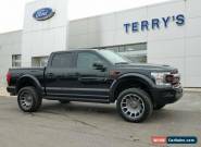 2019 Ford F-150 for Sale