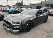 2019 Ford Mustang for Sale