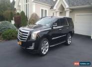 2017 Cadillac Escalade Cadillac Escalade Lincoln Lexus Jeep Audi BMW Merc for Sale