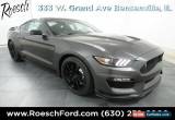 Classic 2019 Ford Mustang Shelby GT350 for Sale