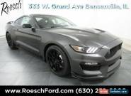2019 Ford Mustang Shelby GT350 for Sale