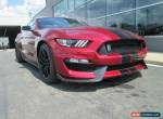 2019 Ford Mustang SHELBY GT350 for Sale