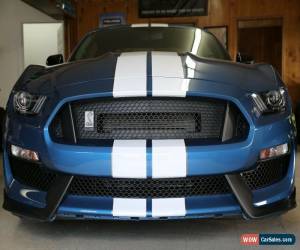 Classic 2019 Ford Mustang Shelby GT350 for Sale