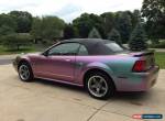 2002 Ford Mustang for Sale