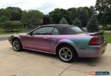 Classic 2002 Ford Mustang for Sale