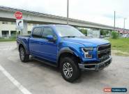 2017 Ford F-150 4x4 SuperCrew Cab Styleside 5.5 ft. box 145 in. WB Raptor (Limite for Sale