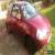 Classic 2001 FORD KA 2 RED for Sale