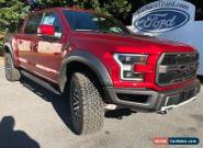 2019 Ford F-150 Raptor for Sale