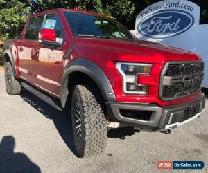 Classic 2019 Ford F-150 Raptor for Sale