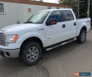 Classic 2012 Ford F-150 for Sale