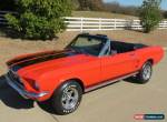 1967 Ford Mustang GT Convertible for Sale