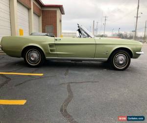 Classic 1967 Ford Mustang Mustang for Sale