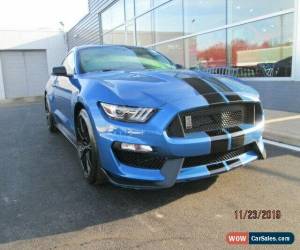 Classic 2019 Ford Mustang SHELBY GT350 for Sale