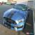 Classic 2019 Ford Mustang SHELBY GT350 for Sale