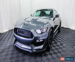 Classic 2019 Ford Mustang Shelby GT350 for Sale