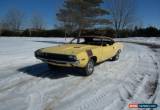 Classic Dodge: Challenger for Sale