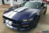 Classic 2019 Ford Mustang GT-350 for Sale