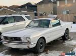 Ford: Mustang for Sale