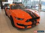 2020 Ford Mustang SHELBY GT350 for Sale
