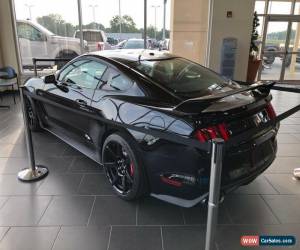Classic 2019 Ford Mustang GT350R  R Package Carbon Fiber Wheels Exposed Carbon Fibe for Sale