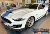 Classic 2019 Ford Mustang GT Premium for Sale