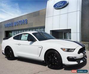 Classic 2019 Ford Mustang GT350 for Sale