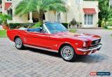 Classic 1966 Ford Mustang for Sale